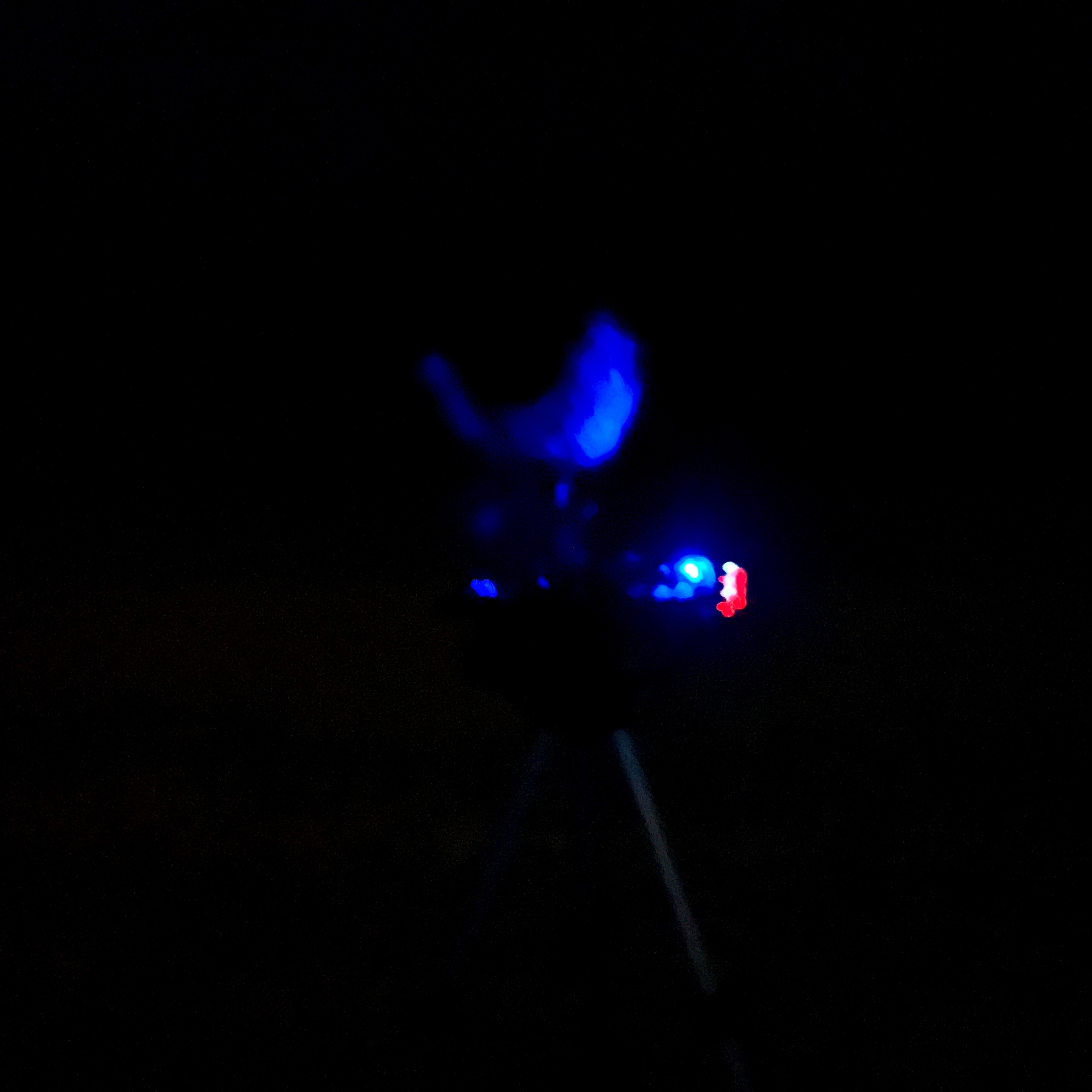 久米島 - イーフビーチ 04:13am 20230204