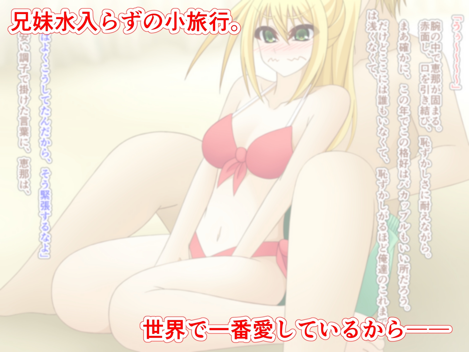 世界で一番妹を愛している