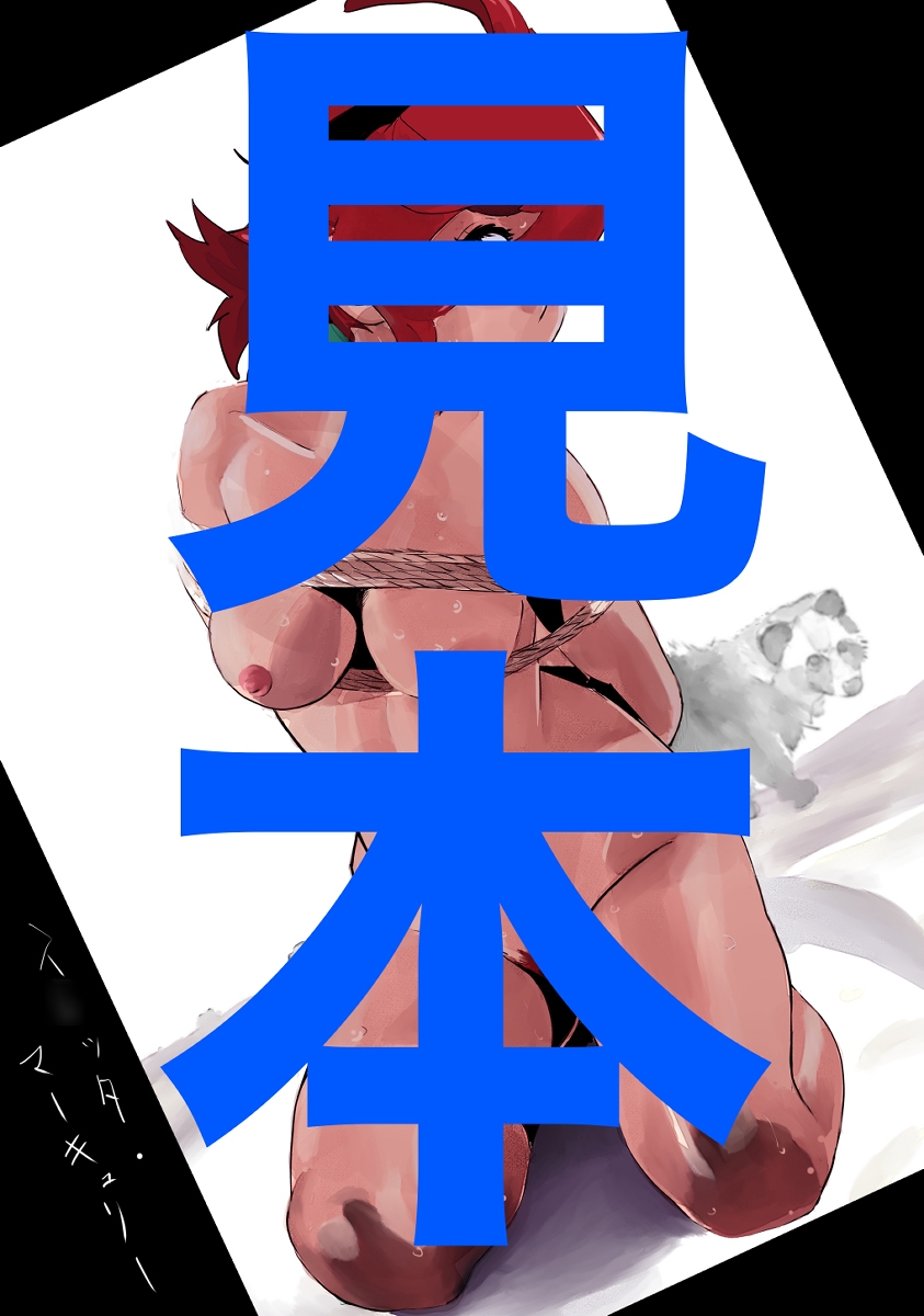 アニメキャラクターSM画集10