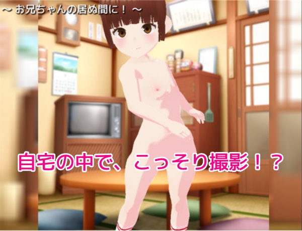 バーチャル少女図鑑～妹の秘密編～