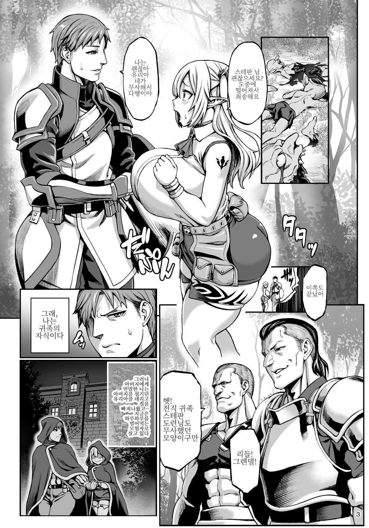 【韓国語版】元奴隷エルフの秘め事