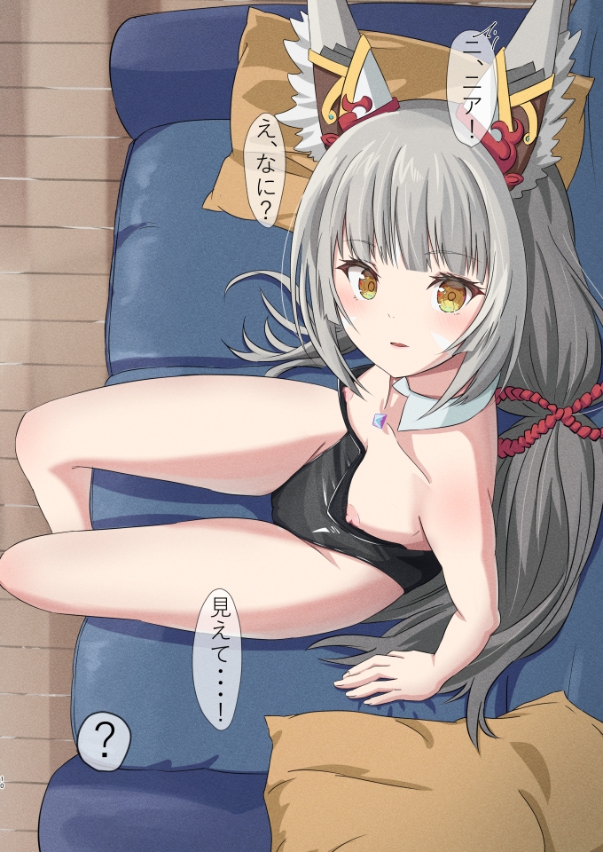 ニアえちちイラスト本