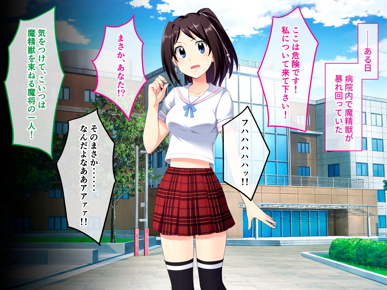 光桜閃姫プリセシール CGノベル版 ~処女な正義のヒロインがNTR悪堕ちする話~