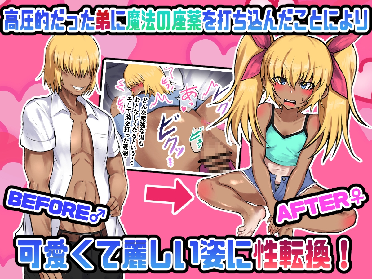 TS性転換 メスガキになった弟が兄の子を孕むまで