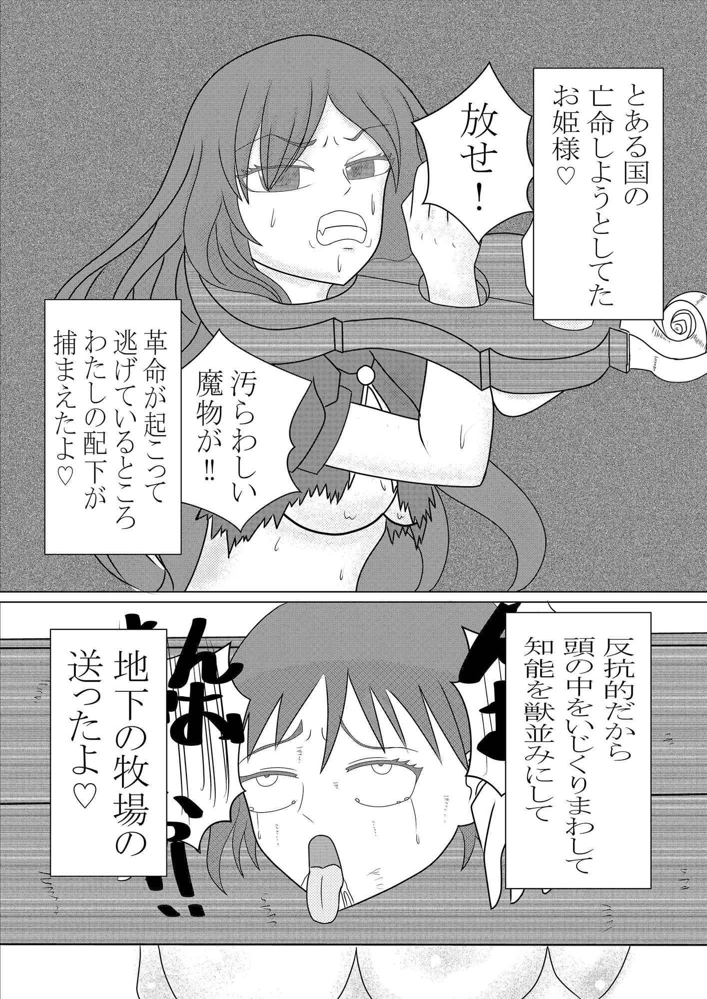 淫魔の交配録 外伝 サキュバスの人間牧場