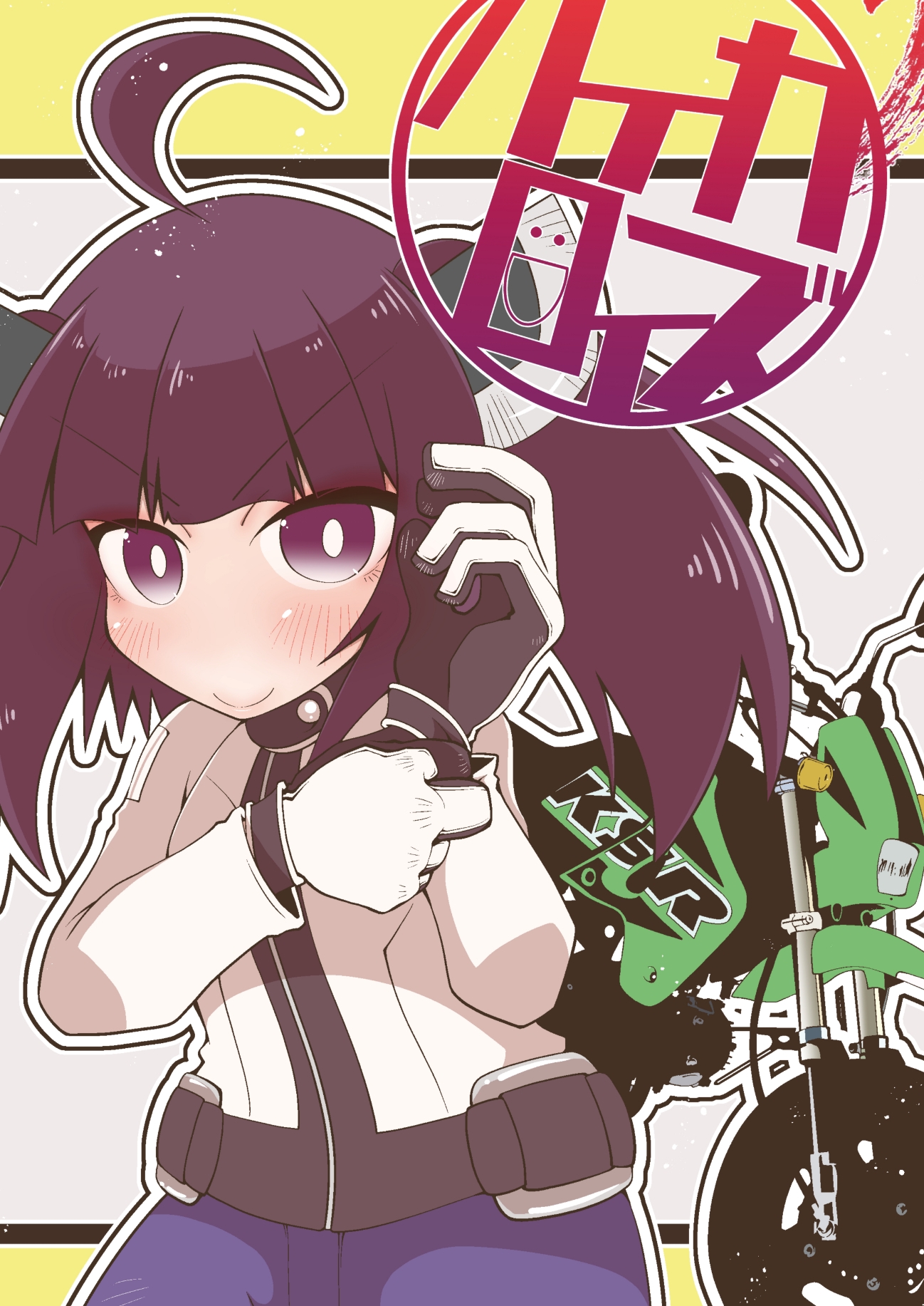 バイカロイズダッシュ