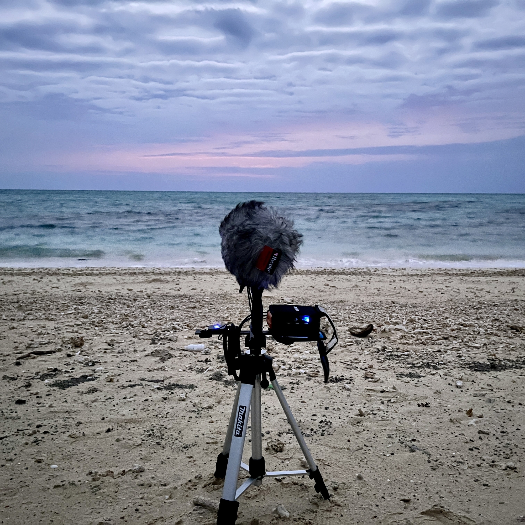 久米島 - イーフビーチ 06:30am 20230205