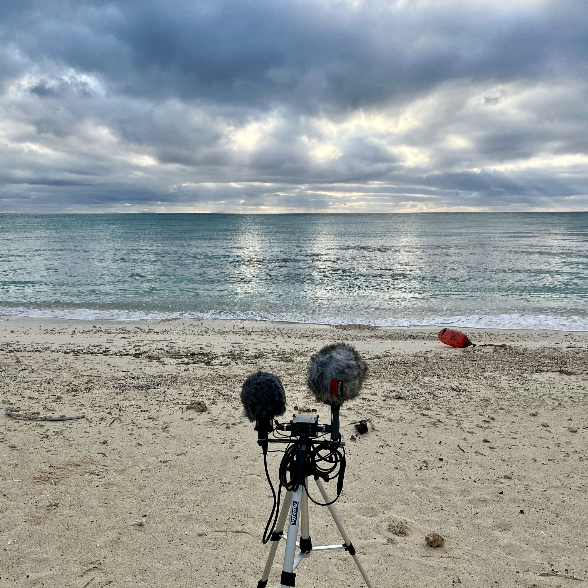 久米島 - イーフビーチ 08:40am 20230207