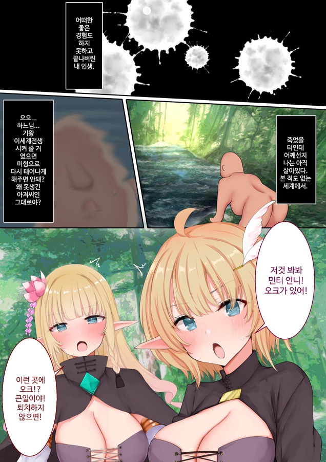 【韓国語版】ようこそ!むちむちハーレム・エルフの里