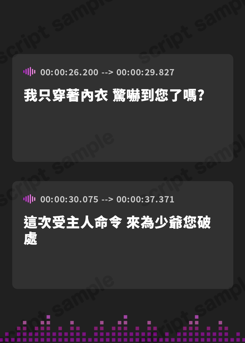 【繁体中文版】エルフメイド セラフィーユのねっとりおほ声筆おろしセックス