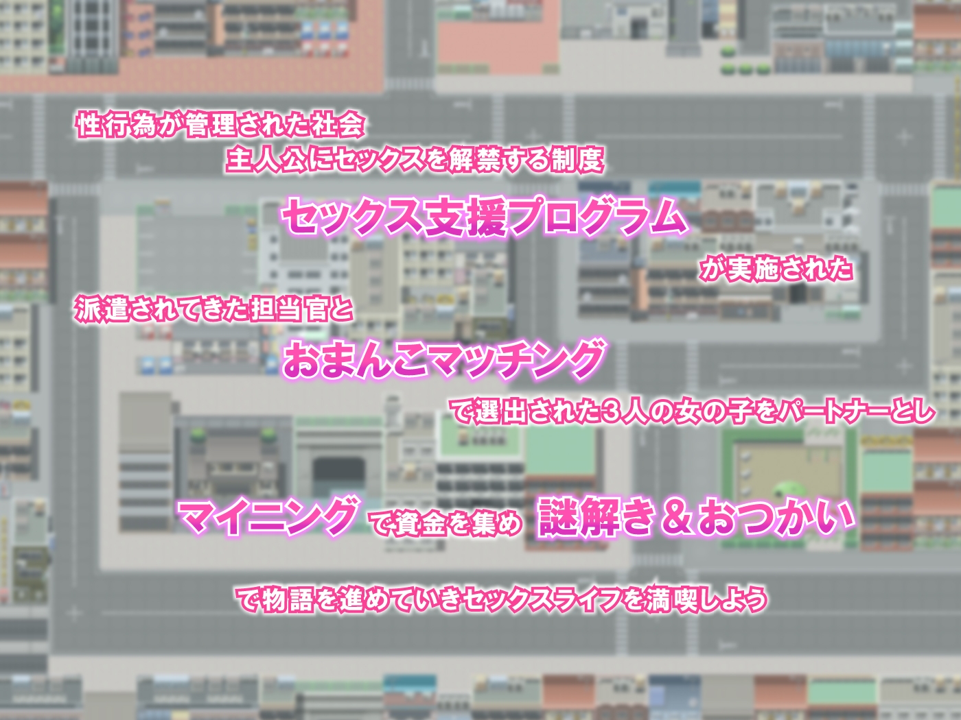 セックス支援プログラム ～おまんこマッチングで選ばれた娘たちと100%合法エッチ～