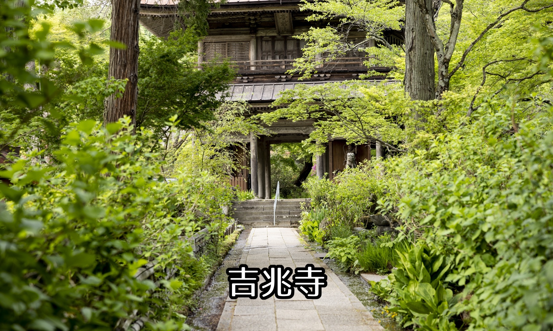 残響地帯