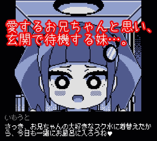 えれべーたー妹略奪シミュレーション