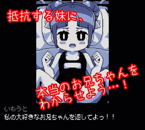 えれべーたー妹略奪シミュレーション