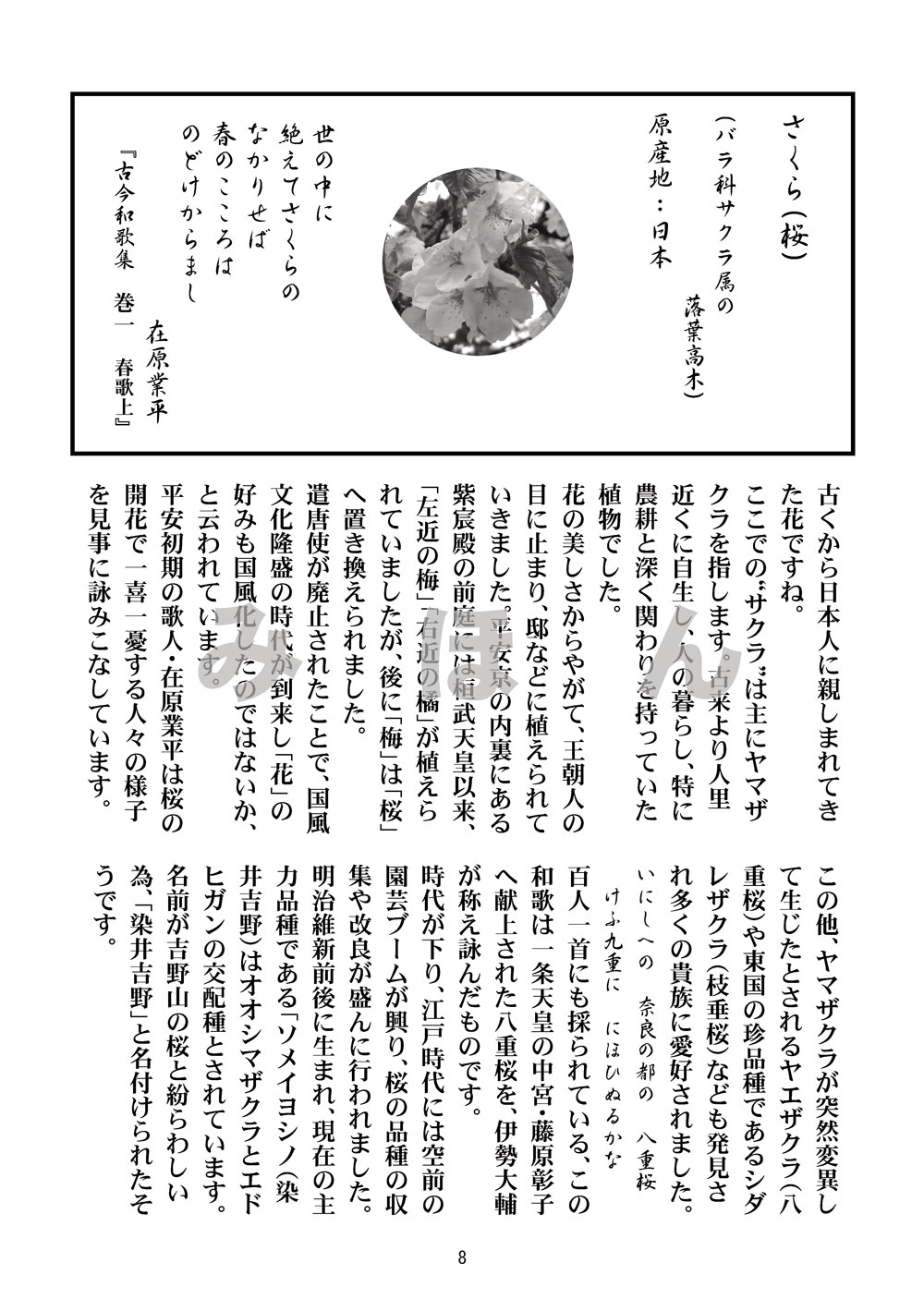 花逍遥～古典を彩る植物たち～