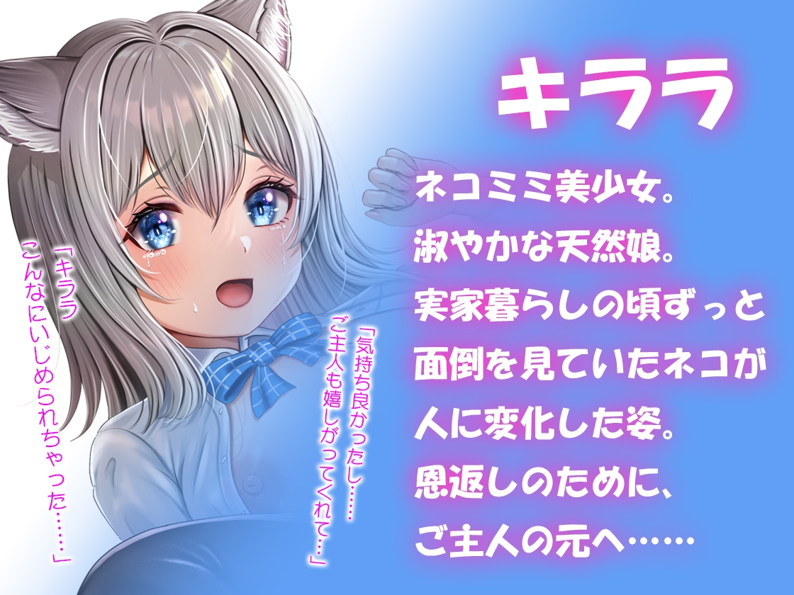 【1ヶ月特別価格!】【バイノーラル】ねこのエッチな恩返し～天然ネコ娘とのエロユル生活