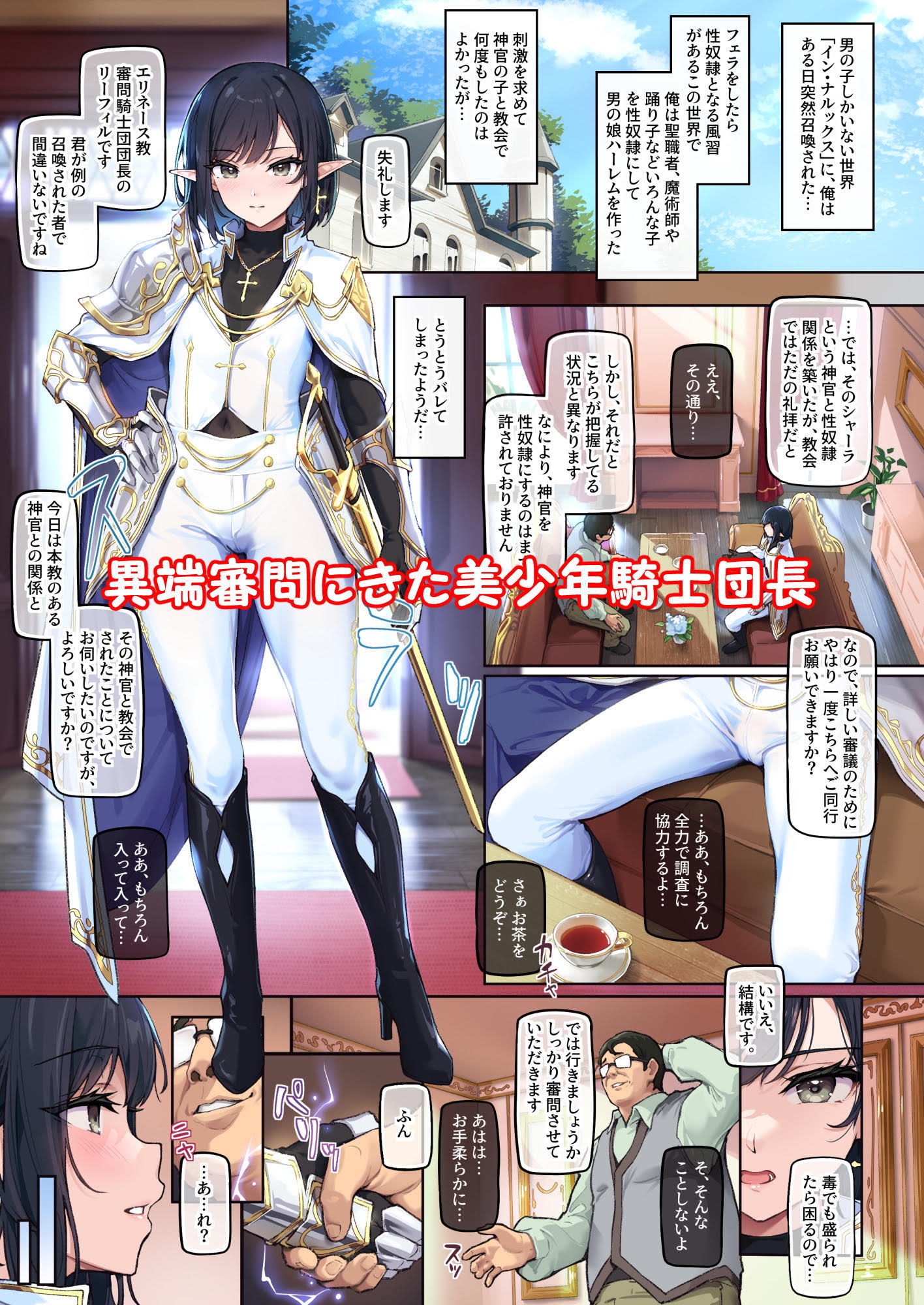 異世界オトコノコ昏睡調教~純潔な聖騎士♂の変態性癖を巨根で暴露してみたら~