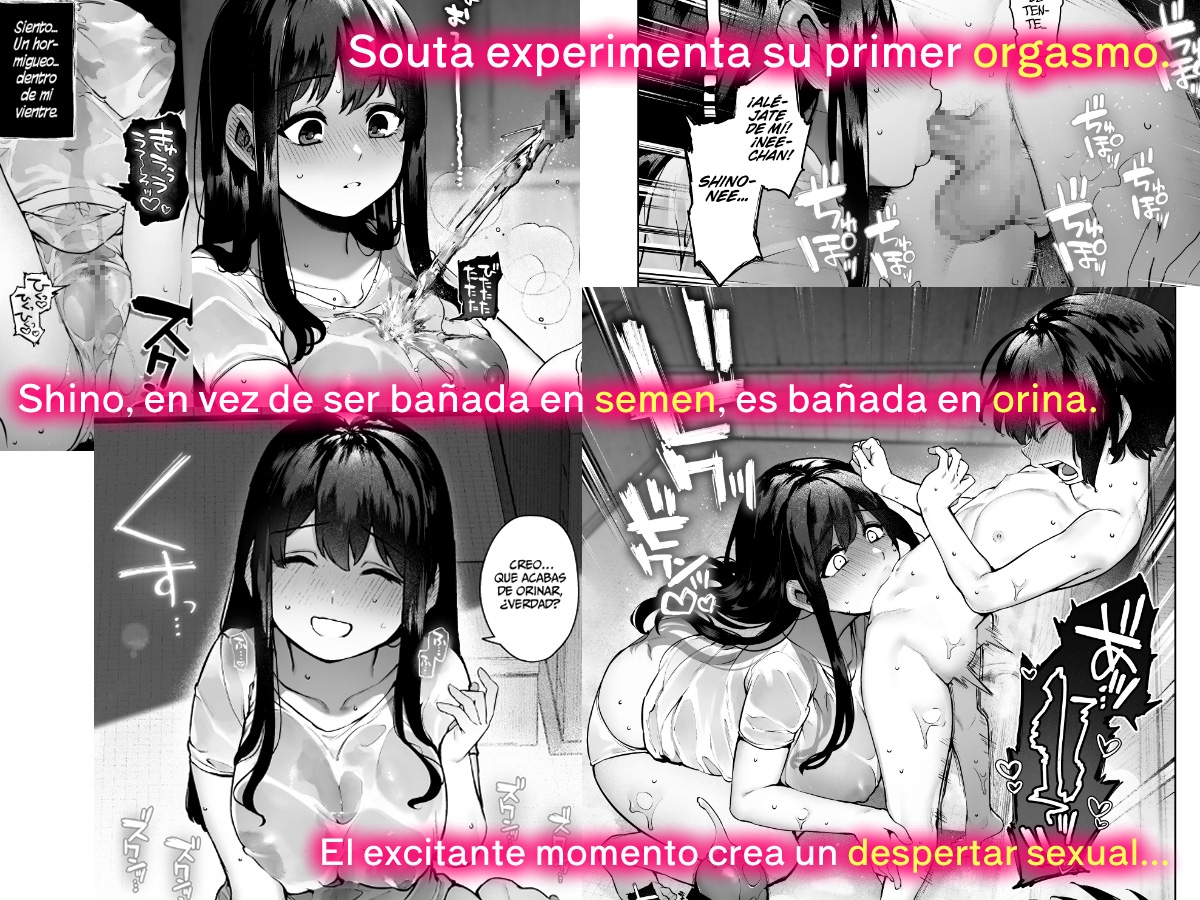 El verano en que me convertí en adulto [Los primos de campo que se han aficionado al recién descubierto sexo]