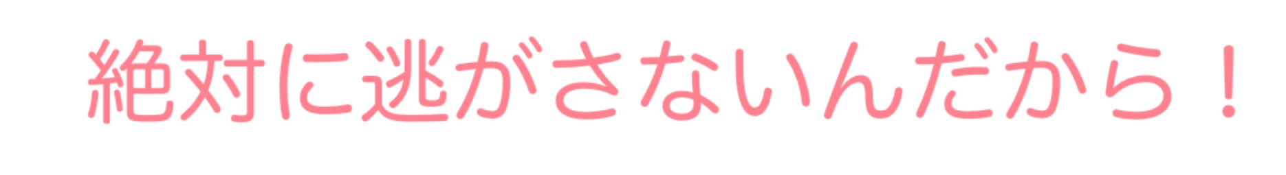 フランちゃんとバック!