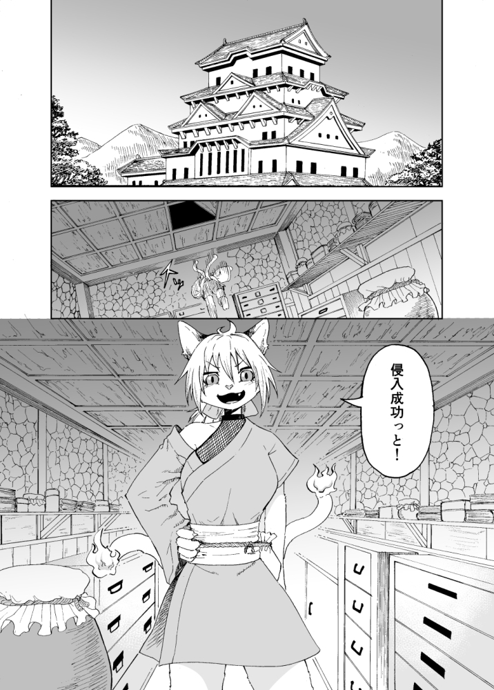 泥棒猫にはお仕置きを