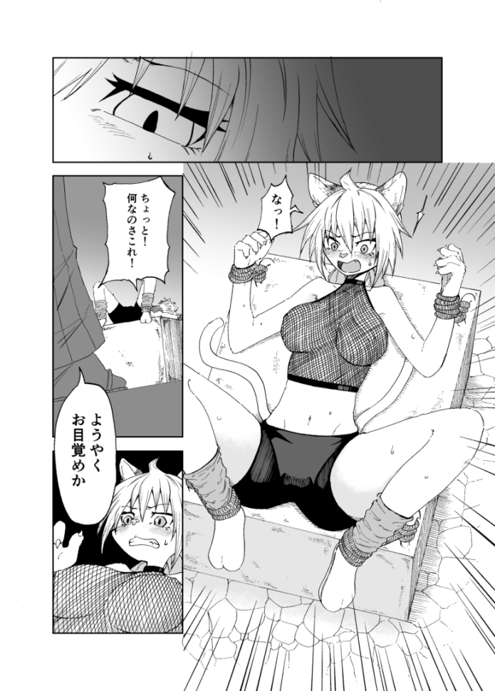 泥棒猫にはお仕置きを