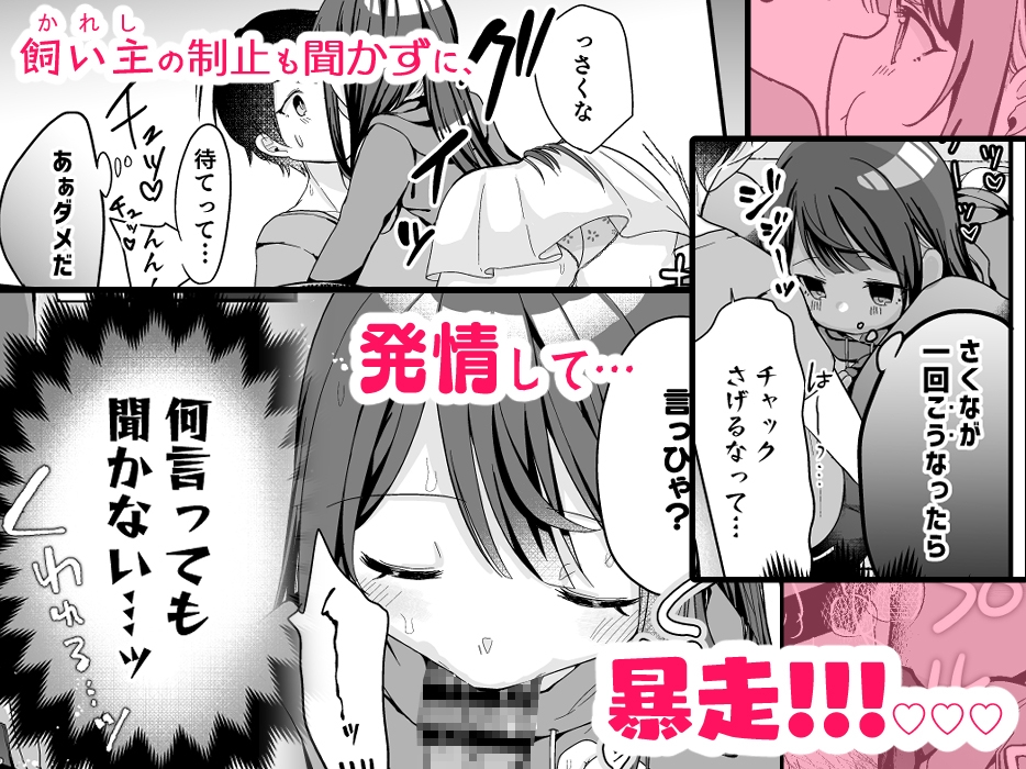 望月さくなは「待て」がデキない!