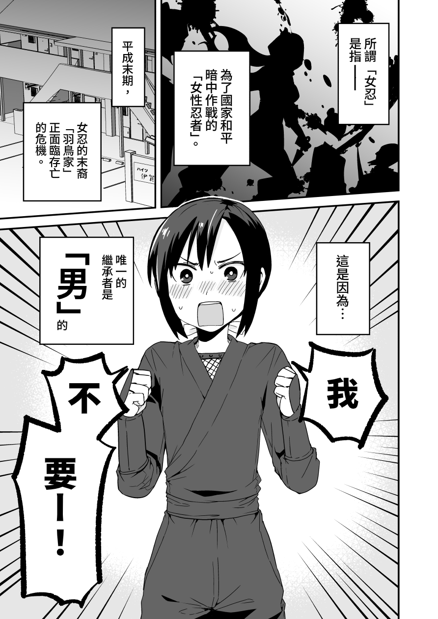 【繁体中文版】くノ一はとりくんの恋
