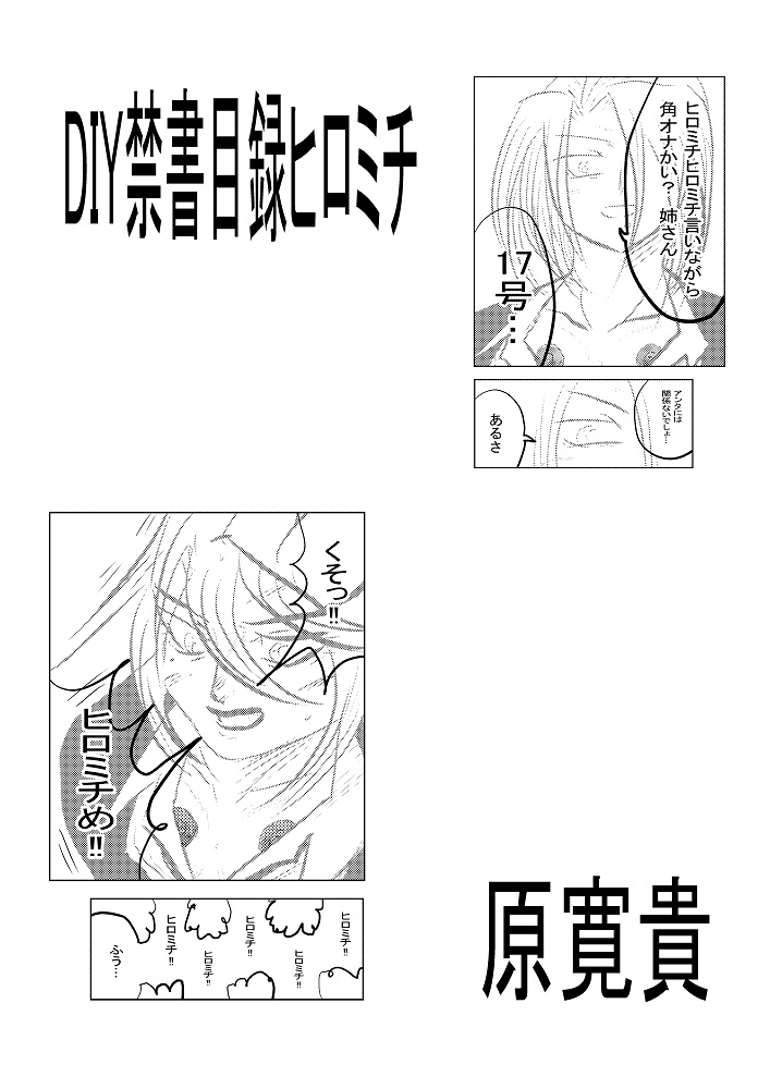 DIY超電磁砲ヒロミチ