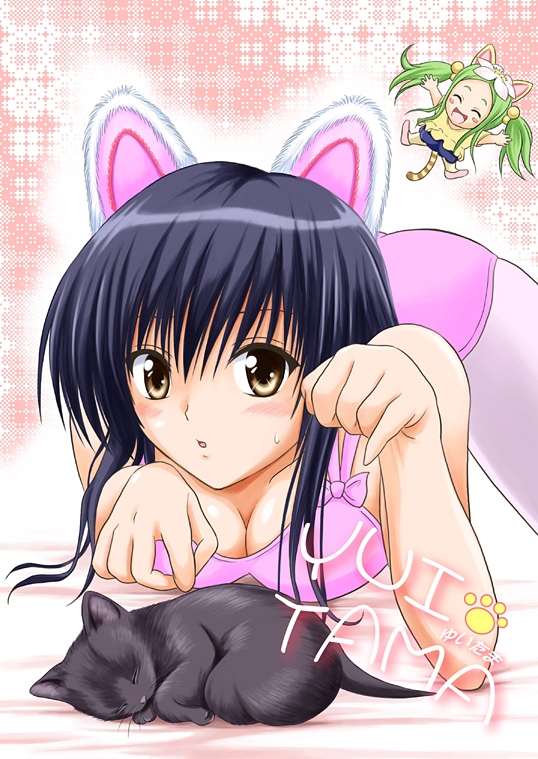 YUITAMA