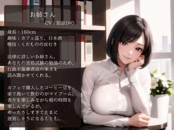 お姉さんに教えてもらう行政法 二、行政不服審査法