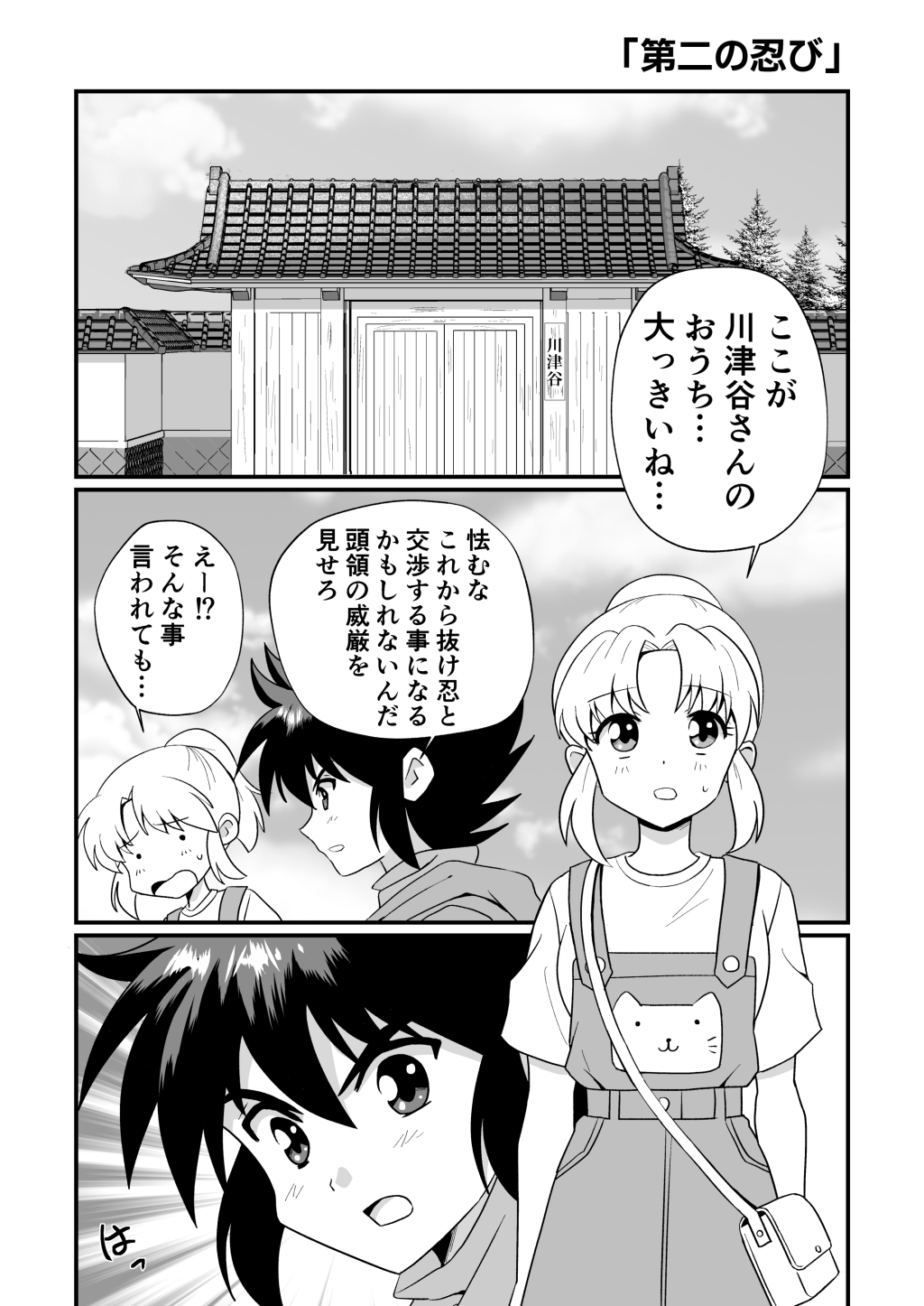 ふうにん!九ノ巻【DL版】