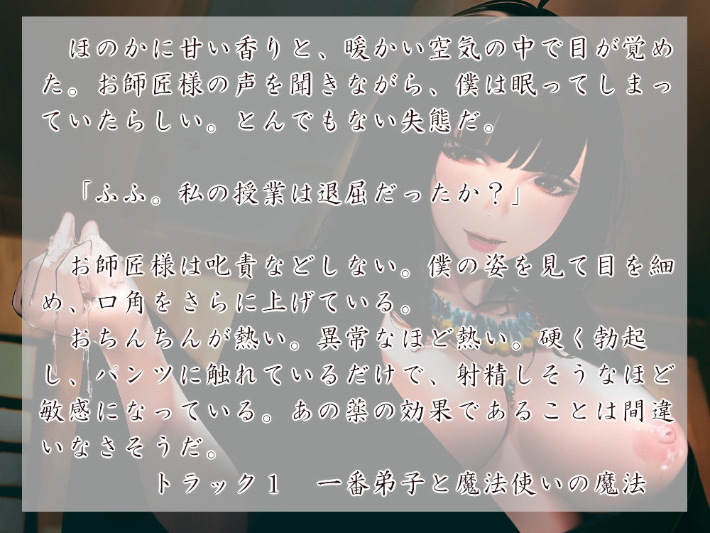 魔法使いとその小さな弟子 魔法の夜