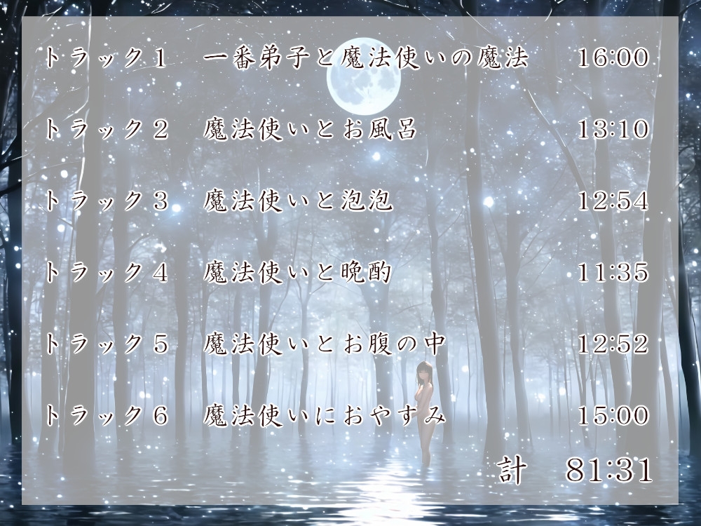 魔法使いとその小さな弟子 魔法の夜