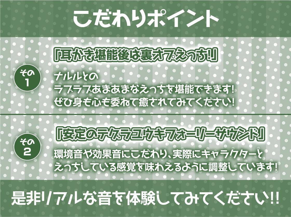 耳かき専門デリヘルエルフと秘密の裏オプえっち【フォーリーサウンド】