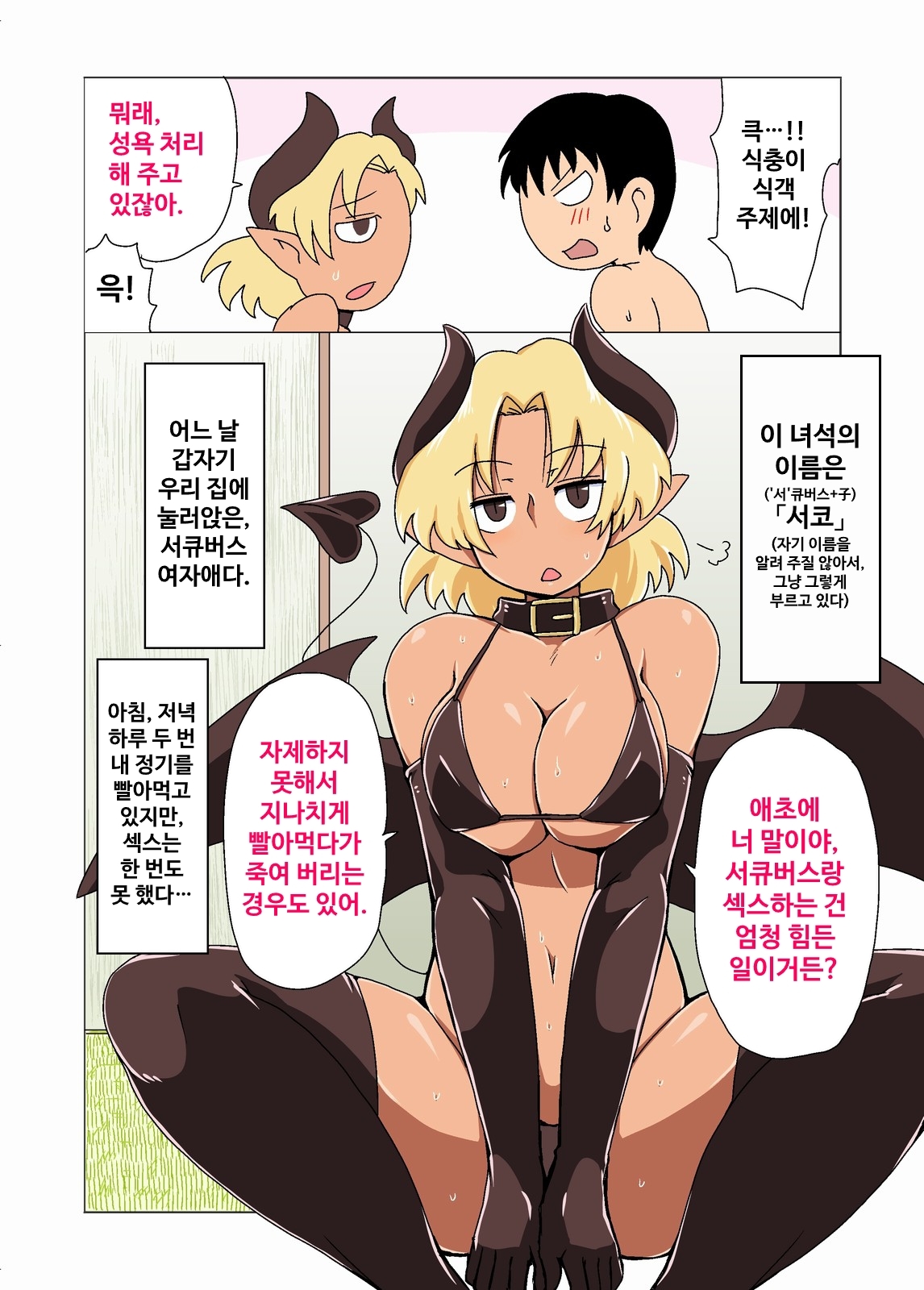 【韓国語版】褐色生意気サキュバスの居候。