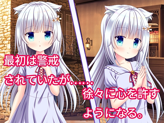 [ソフトM向け]猫少女シロとの共依存性活