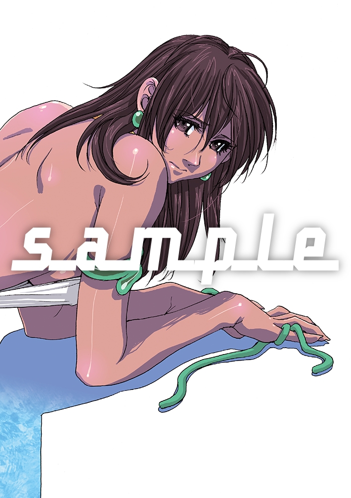 麻宮キャラブック013 「ANICE IN SPIEGEL LAND アニス・ファーム2 超音戦士ボーグマンより」