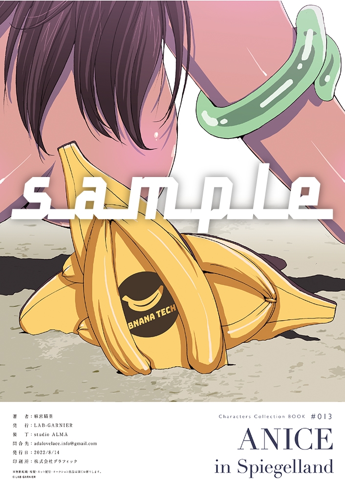 麻宮キャラブック013 「ANICE IN SPIEGEL LAND アニス・ファーム2 超音戦士ボーグマンより」