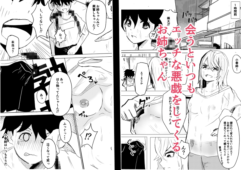 お姉ちゃんは僕のもの