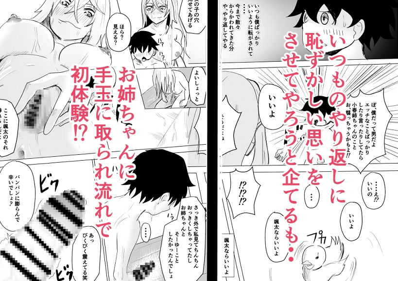 お姉ちゃんは僕のもの