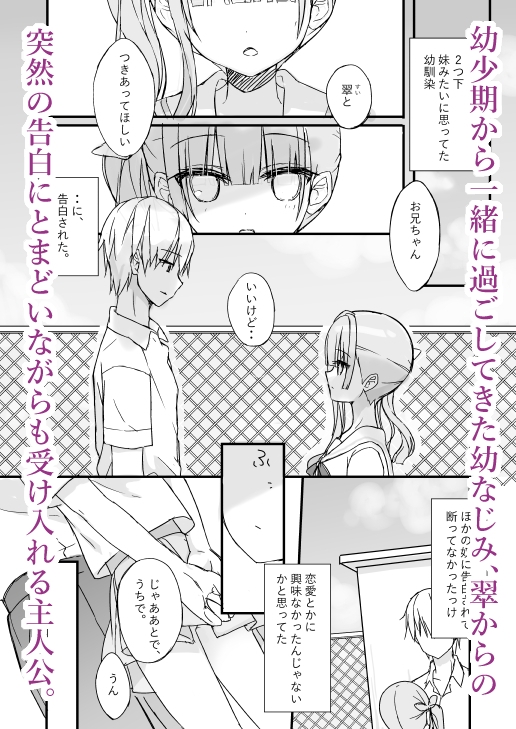 いもうとおさななじみときどき×× [comic]