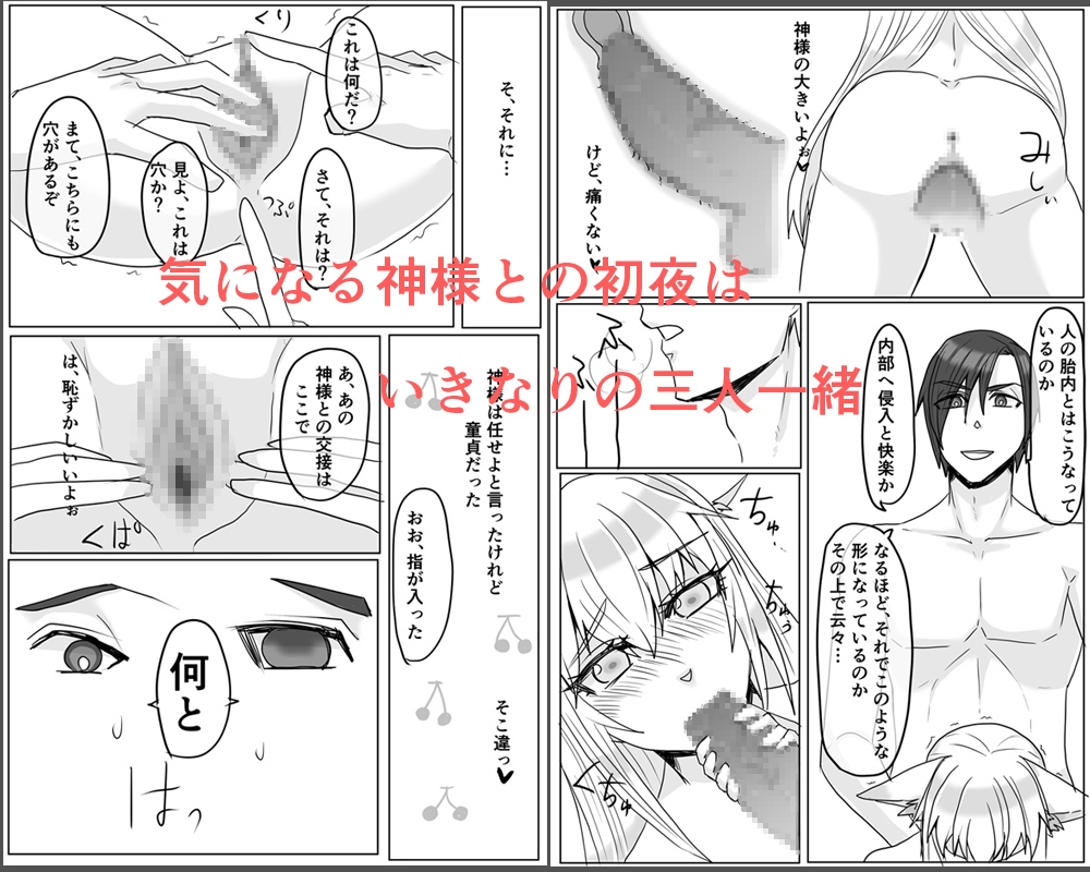 神様の種産みの嫁