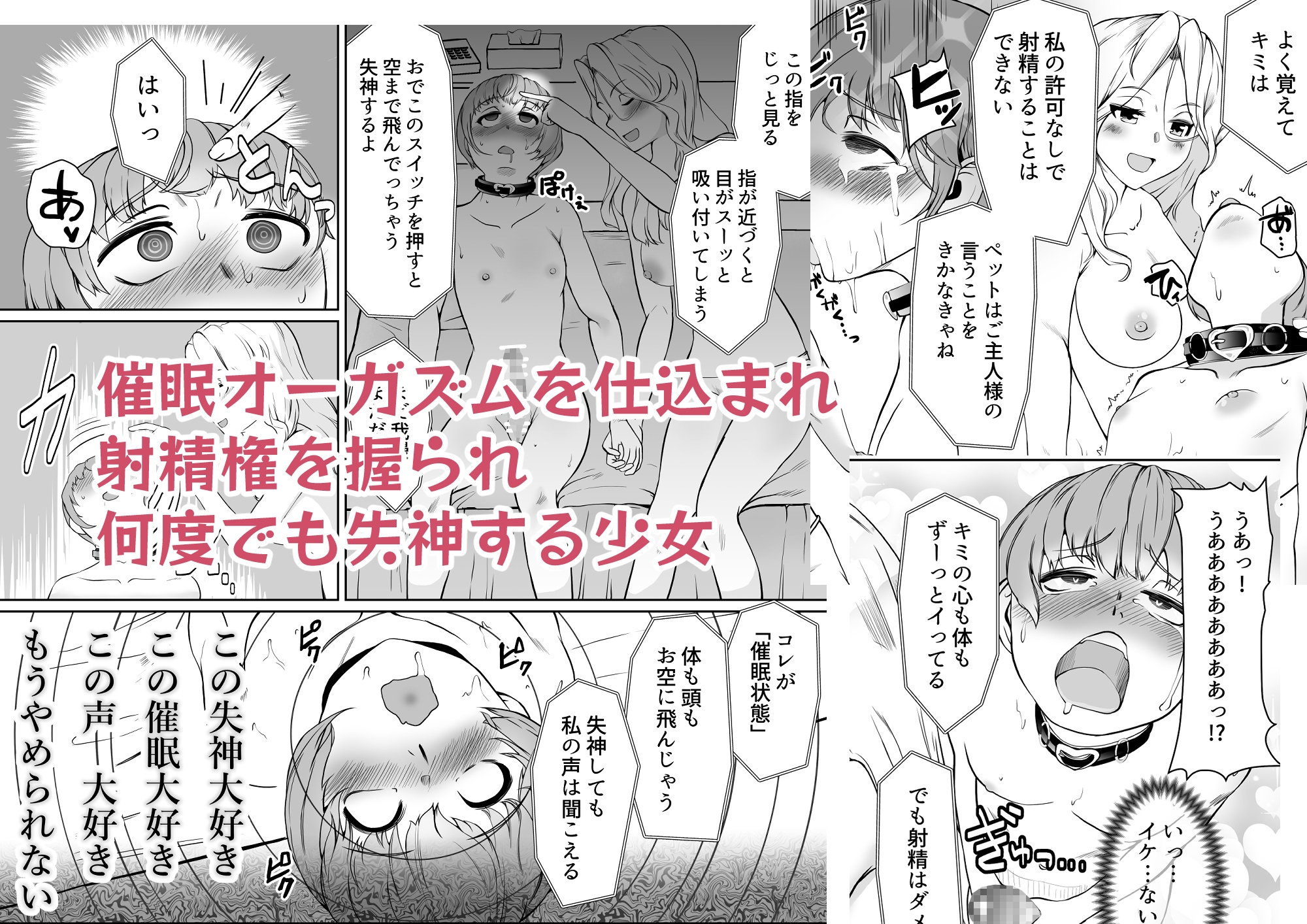 お姉さまと催眠ペット