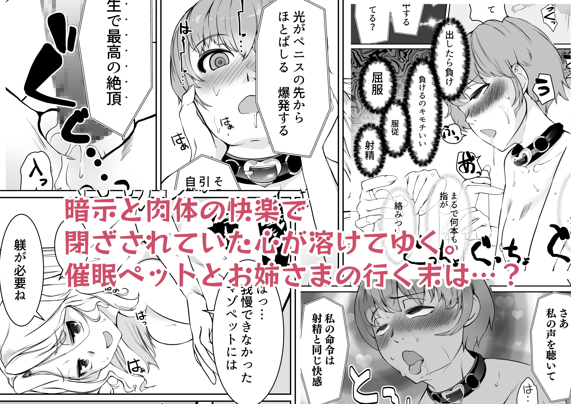 お姉さまと催眠ペット