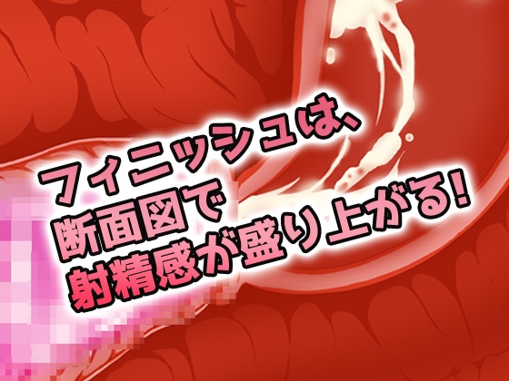 【2本セット!!】蟲姦~「お姉さんを餌に昆虫採集」編&「ギャルと蟲を交尾」編~大人の変態ゲーム