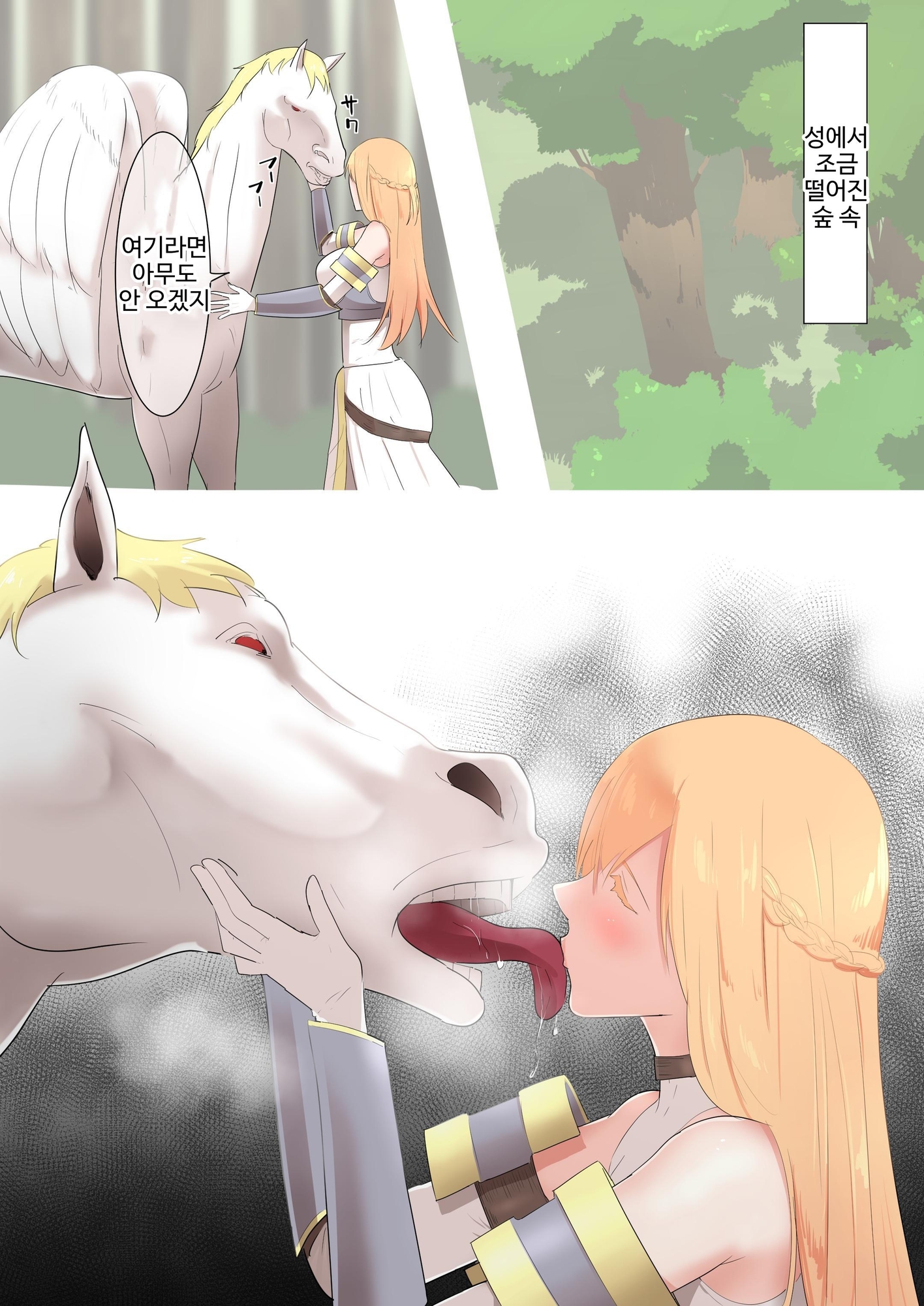 【韓国語版】女騎士の秘密