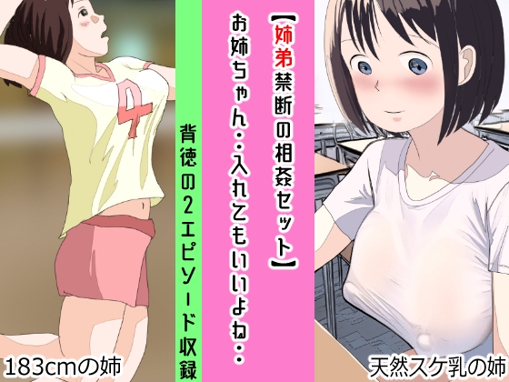 【韓国語版】【姉弟禁断の相姦セット】お姉ちゃん・・入れてもいいよね・・