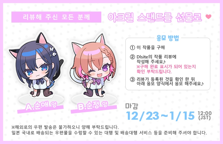 순애 보○ 당번 플러스/순정 보○ 당번 플러스