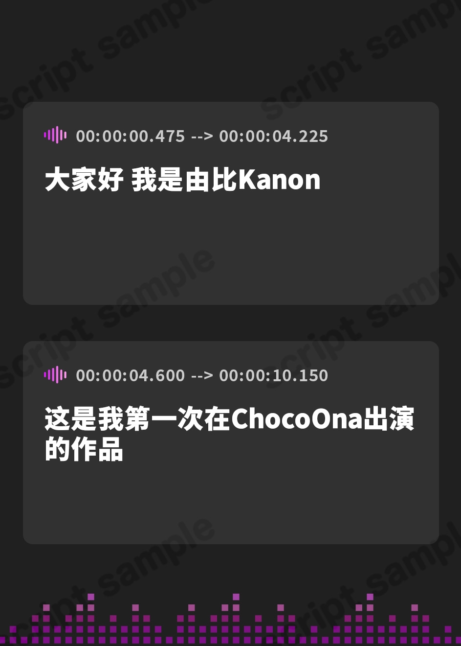 【簡体中文版】【5本まとめて特別価格!】実演シリーズ コレクションパック vol.5