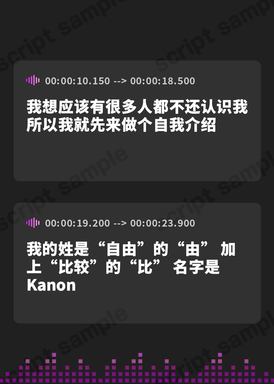 【簡体中文版】【5本まとめて特別価格!】実演シリーズ コレクションパック vol.5